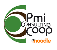 Academy PMI Consulting Coop